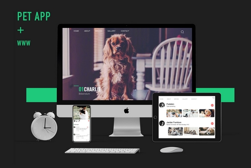宠物商店APP开发解决方案