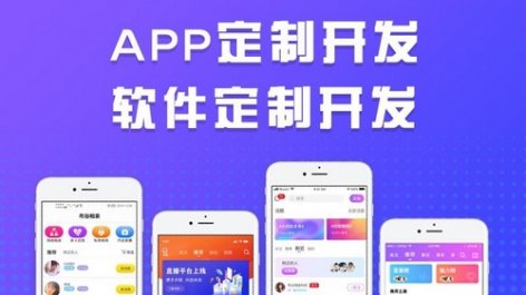 APP软件开发制作主要有哪些模式？